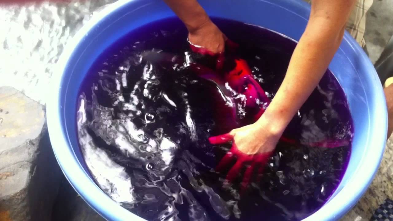Hướng dẫn cách tắm thuốc tím cho cá Koi